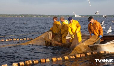 Zinātnieki aicina pārtraukt mencu un siļķu zveju Baltijas jūrā