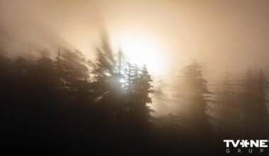 Nakts vidū mežā apmaldījušies četri cilvēki. Glābēji palīdz izkļūt