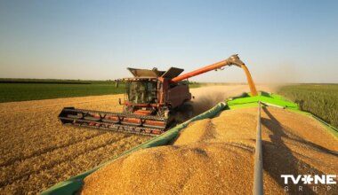 Krievijas graudaugu tranzīts caur Latviju deviņos mēnešos sarucis vairāk nekā četras reizes