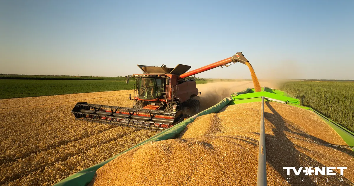 Krievijas graudaugu tranzīts caur Latviju deviņos mēnešos sarucis vairāk nekā četras reizes