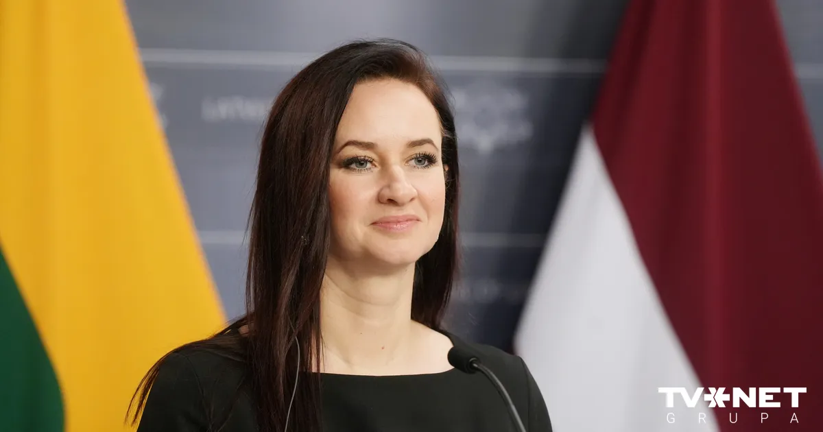 Ruginiene: Lietuvai būtu jāratificē Stambulas konvencija - Apollo.lv