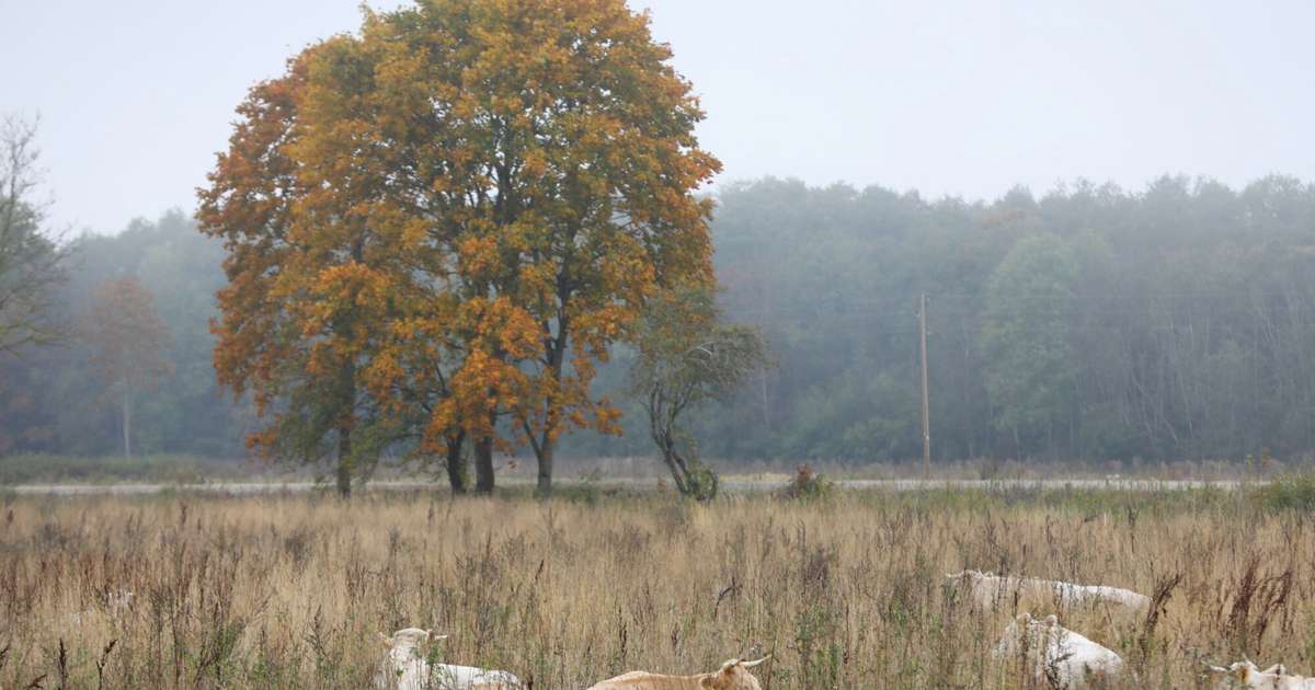 Svētdien būs lielākoties mākoņains un vietām īslaicīgi līs