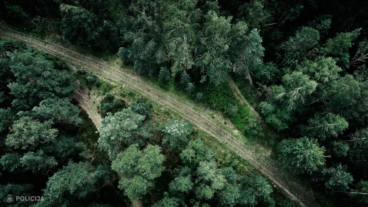 policija kratīšanā atrod lielu daudzumu vielu; tās slēpa mežā