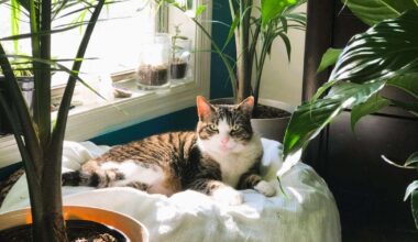 Vēršiem jārunā skaidra valoda, Skorpioniem ieteicams nodarboties ar pašreklāmu – 30. oktobra horoskops