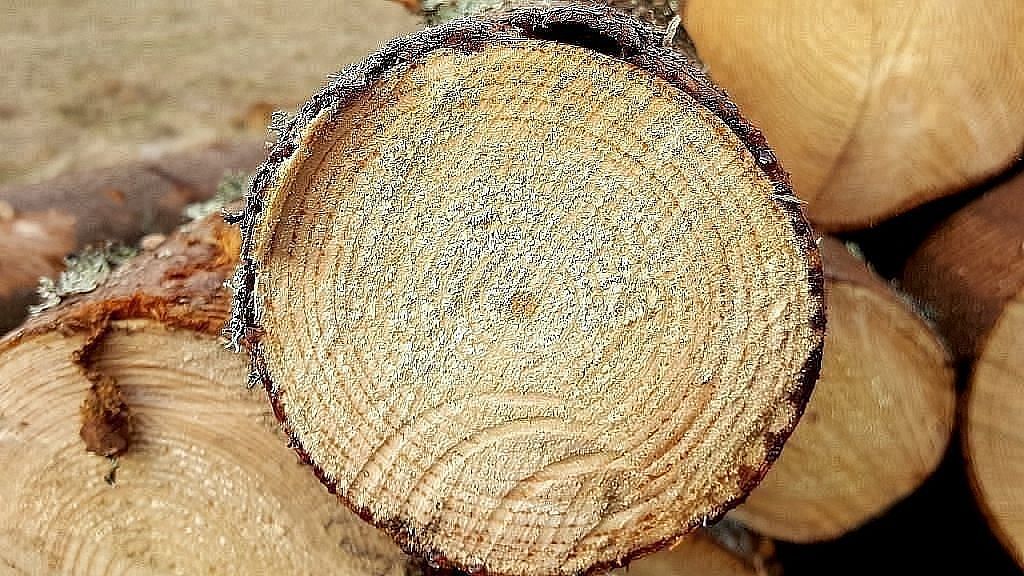 Ražotāju cenu līmenis gada laikā palielinājies par 1,4% :: Dienas Bizness