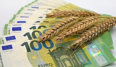 Krievijas graudaugu tranzīts caur Latviju deviņos mēnešos samazinājies 4,3 reizes :: Dienas Bizness