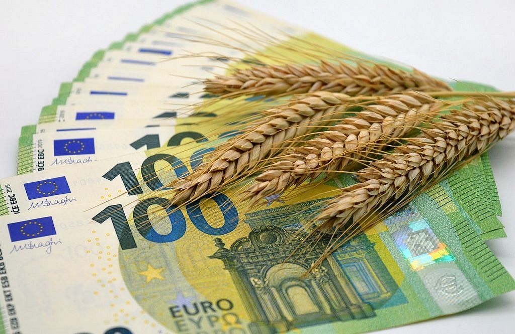 Krievijas graudaugu tranzīts caur Latviju deviņos mēnešos samazinājies 4,3 reizes :: Dienas Bizness