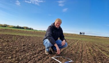 Kādas metodes un pieejas lauksaimniekiem atmaksājas? :: Dienas Bizness