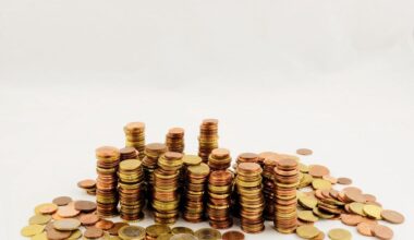 FDP: Latvijā vispārējās valdības parāds uz vienu iedzīvotāju ir 10 600 eiro :: Dienas Bizness