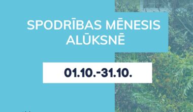 Līdz 31. oktobrim iedzīvotājiem iespējams novietot dārza atkritumus noteiktos punktos pilsētā