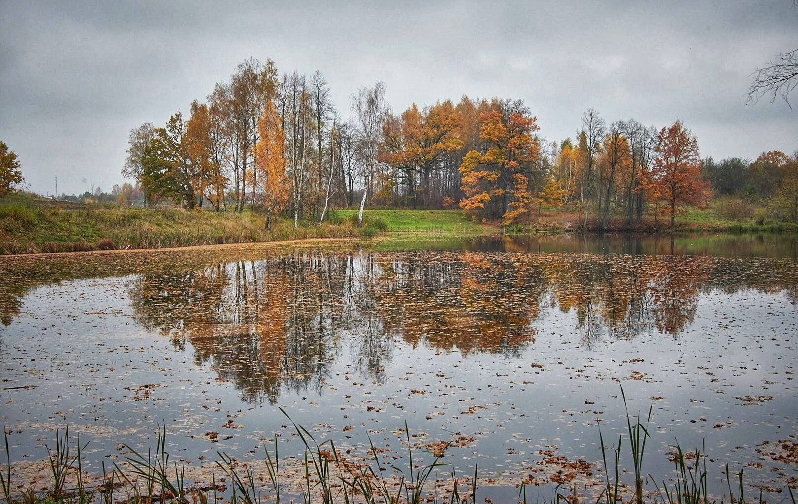 Sestdien Latvijā līs stipri un ilgstoši