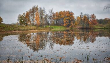 Sestdien Latvijā līs stipri un ilgstoši