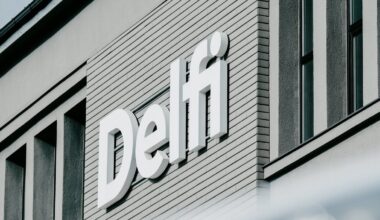 "Delfi" ieskatā "Ekis&Co-Positioning and Consulting" iesniegtajai maksātnespējas prasībai nav pamata