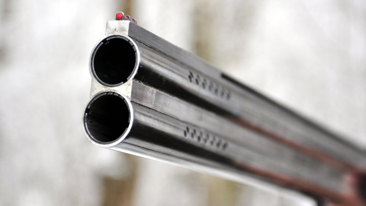 "Spried ar Delfi" par trīs suņu nošaušanu Bauskas novadā