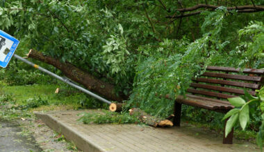 Valdība piešķir 838 145 eiro Jelgavas pašvaldībai pagājušā gada jūlija vētras postījumu kompensēšanai / Diena