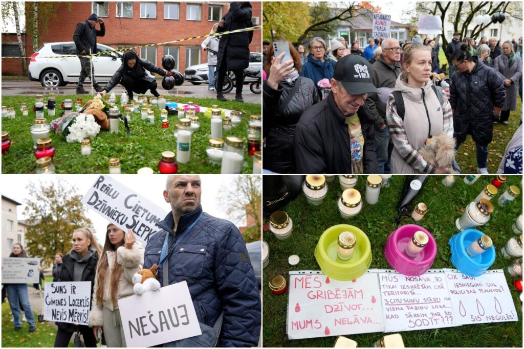 Protests Modra atbalstam  Bauskā