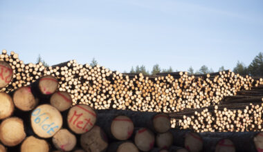 Baļķvedēja avārija Rīgā: kokmateriāli uz Ulmaņa gatves