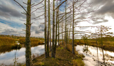 Trešdien gaidāms nedaudz saulaināks laiks