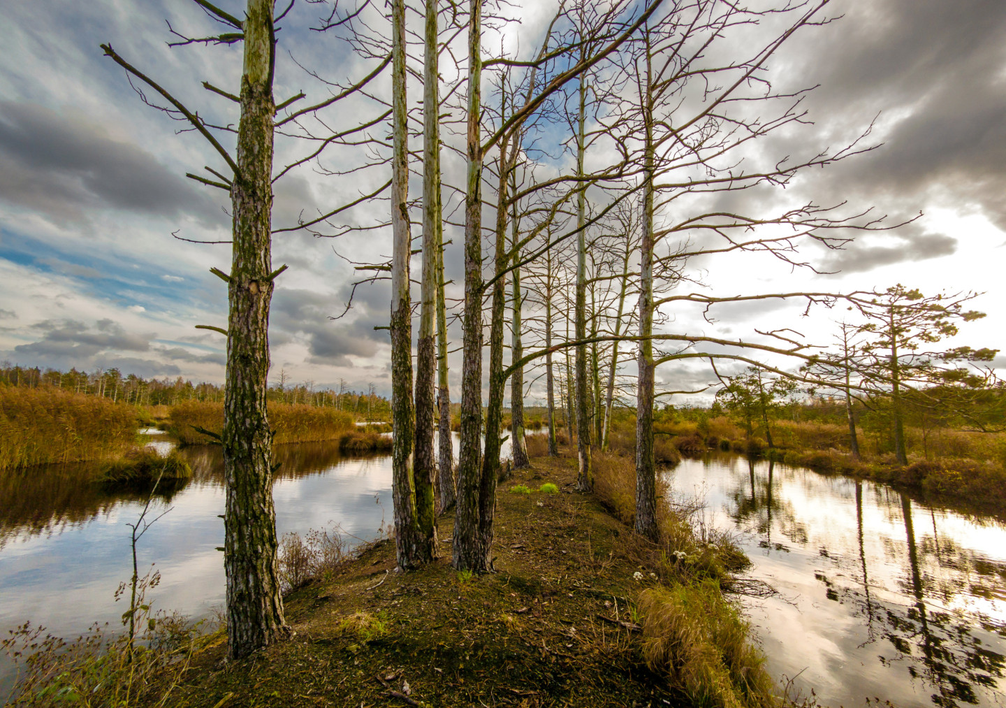 Trešdien gaidāms nedaudz saulaināks laiks