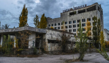 Černobiļas suņi: kāpēc parādījušies dzīvnieki ar zilu kažoku