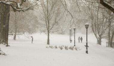 Kāda būs ziema? - nra.lv