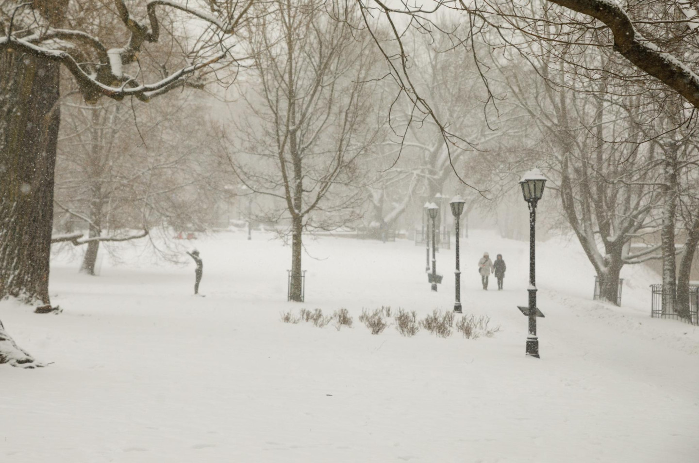 Kāda būs ziema? - nra.lv