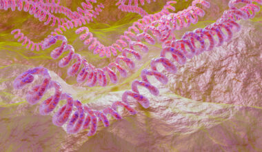 Latvijā uzliesmo leptospiroze - nra.lv