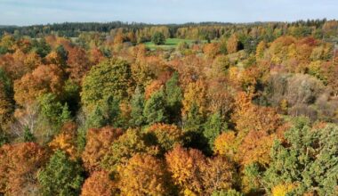 Nākamās nedēļas vidū Latvijā kļūs siltāks