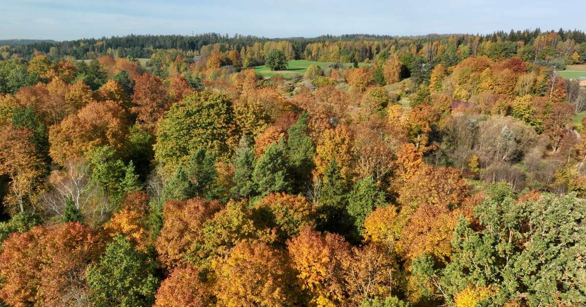 Nākamās nedēļas vidū Latvijā kļūs siltāks