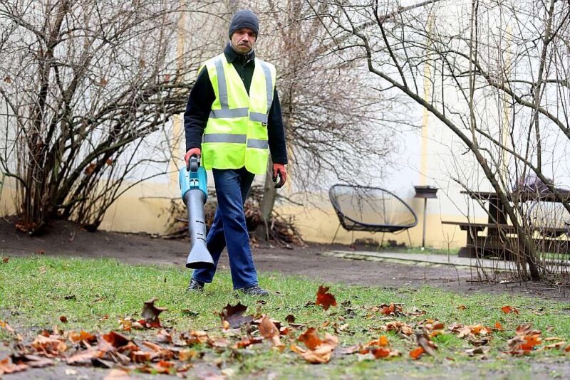 Rudens lapu novākšanas noteikumi vairs nebūs tik strikti, daudzdzīvokļu māju iedzīvotāji paši varēs lemt, vai lapas aizvest vai atstāt guļam zālājā.