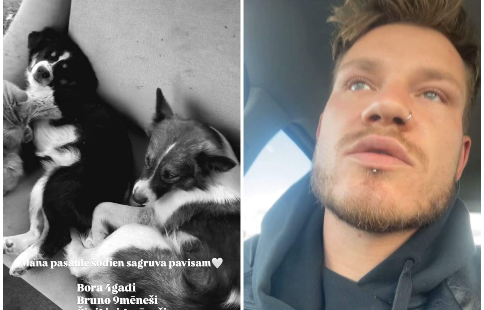 Traģēdija Brunavas pagastā: advokāts skaidro Modra Konovalova suņu nošaušanas tiesisko aspektu