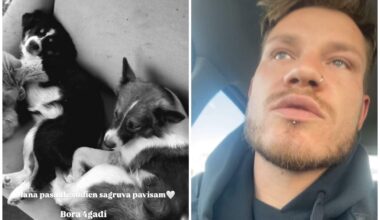 Traģēdija Brunavas pagastā: advokāts skaidro Modra Konovalova suņu nošaušanas tiesisko aspektu