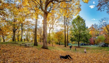 Ziemas jakas liekam atpakaļ skapī! Nākamās nedēļas vidū Latvijā kļūs siltāks