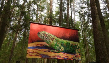 Baldones Meža galerija. Foto: Ķekavas novads