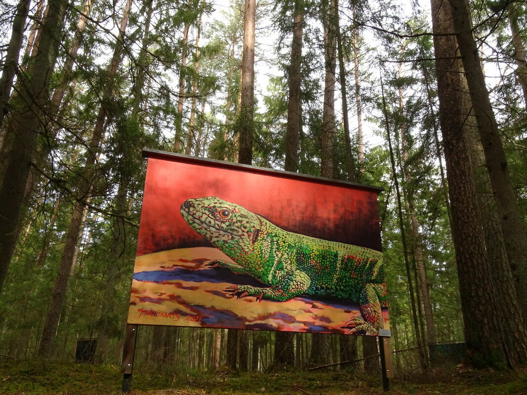 Baldones Meža galerija. Foto: Ķekavas novads Baldones Meža galerija. Foto: Ķekavas novads