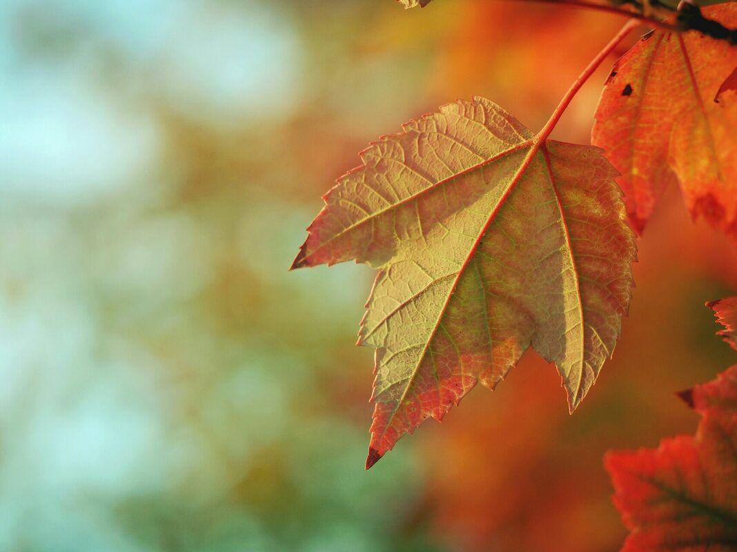 Foto: Unsplash
