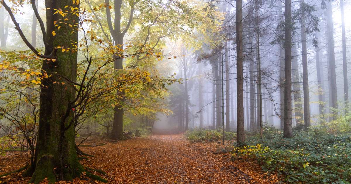 Kāds laiks gaidāms sestdien? Uzzini sinoptiķu prognozes - tv3.lv