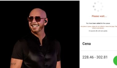 Nācija trako: Pitbull koncerts Rīgā maksā no 228 eiro; biļešu pirkšanas sistēma atkal ”uzkārusies”