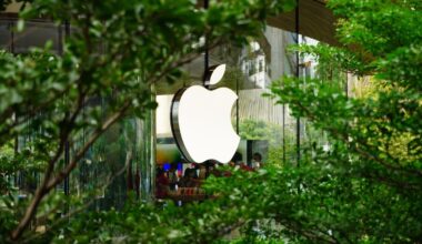 "Apple" centieni pārveidot "iPad" ir saskārušies ar šķēršļiem