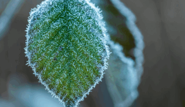 Foto: Unsplash
