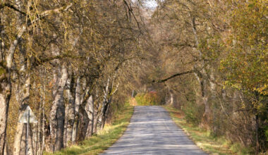 Trešdien gaidāms nedaudz saulaināks laiks / Diena