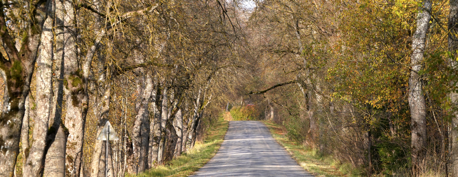 Trešdien gaidāms nedaudz saulaināks laiks / Diena