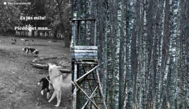 Brunavas nošauto suņu lieta. Vai likums neparedz vienpersoniski sodīt suni par stirnas saplosīšanu?