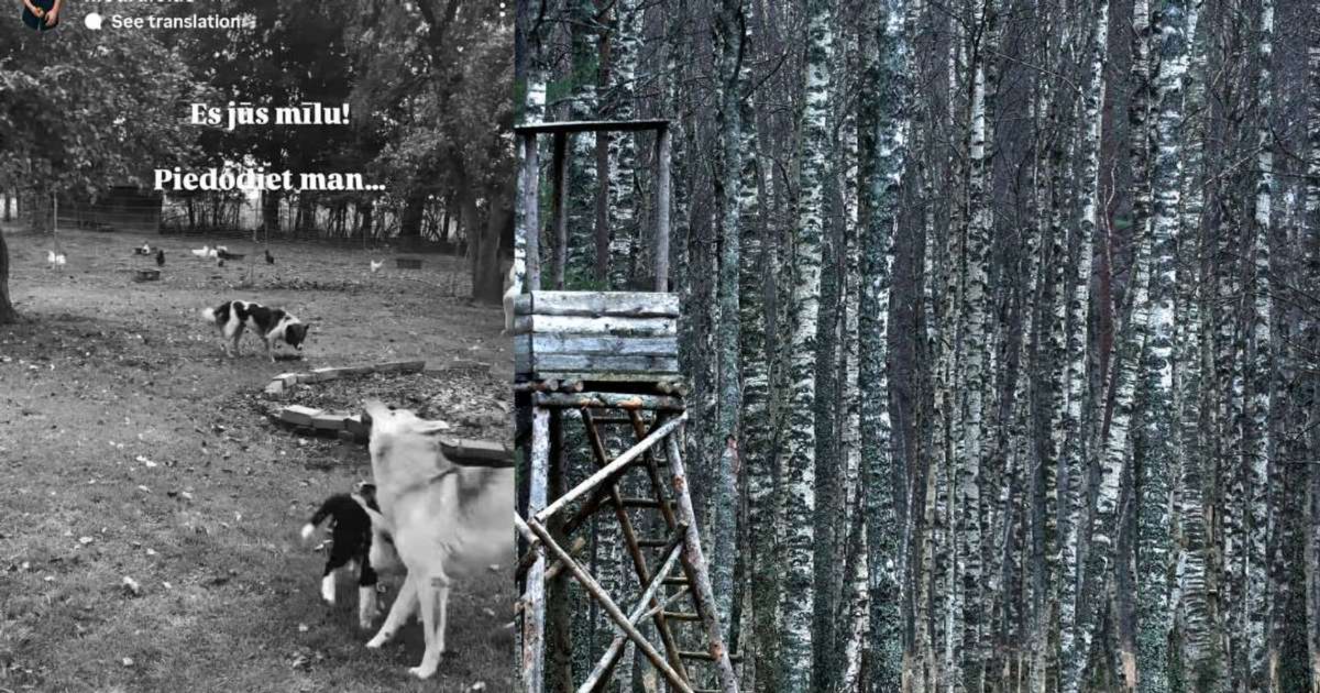 Brunavas nošauto suņu lieta. Vai likums neparedz vienpersoniski sodīt suni par stirnas saplosīšanu?