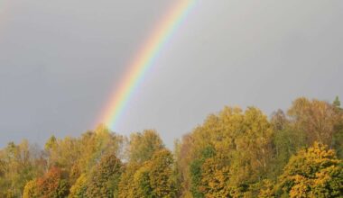 Svētdiena Latvijas austrumu daļā un arī Rīgā būs saulaina