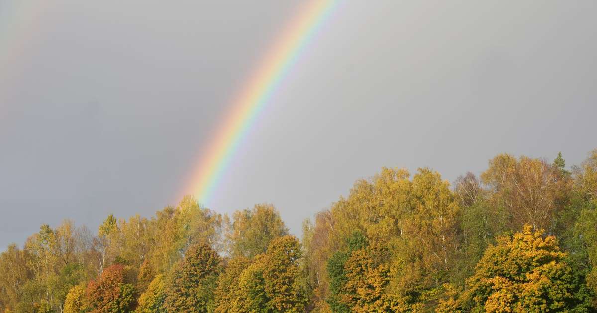 Svētdiena Latvijas austrumu daļā un arī Rīgā būs saulaina