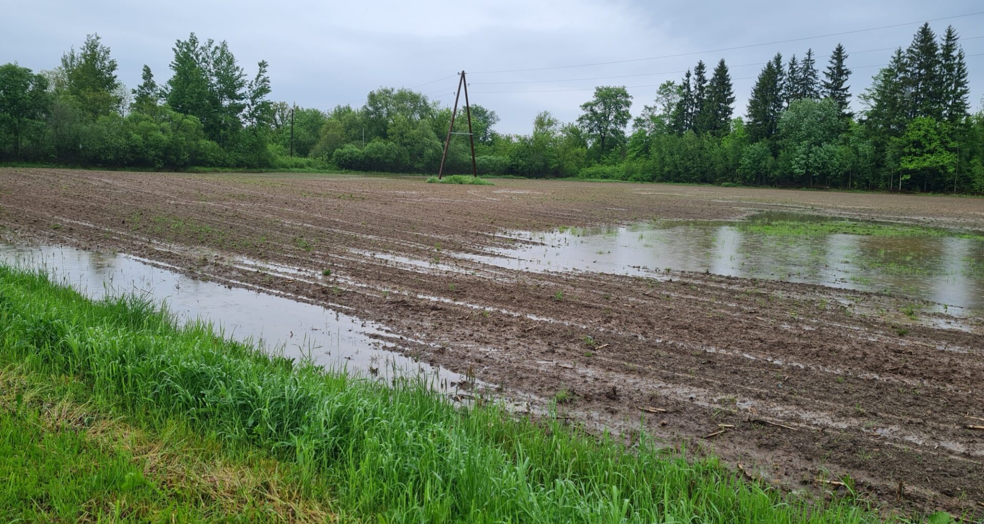 Pēc traģiskiem gadījumiem laukos izveidots atbalsta tālrunis lauksaimniekiem / Jēkabpils Laiks: Jēkabpils ziņas