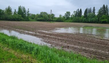 Pēc traģiskiem gadījumiem laukos izveidots atbalsta tālrunis lauksaimniekiem / Jēkabpils Laiks: Jēkabpils ziņas