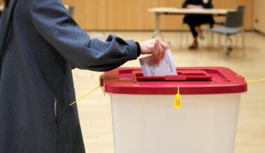 Politiskā kustība «Bez partijām» pagaidām atliek jautājumu par sadarbības partiju Saeimas vēlēšanās / Raksts