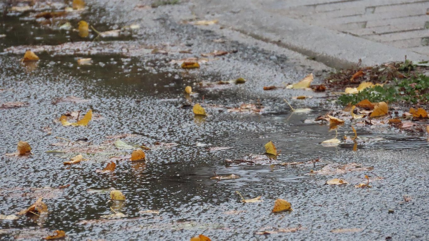 Siltajā piektdienā daudzviet gaidāms īslaicīgs lietus / Raksts